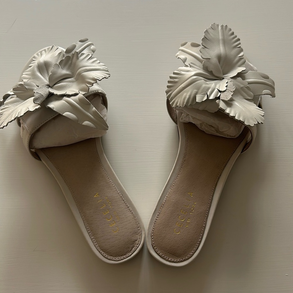 Never worn Cecelia Sandals, size 8 women’s